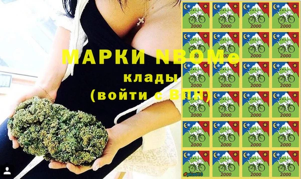 шишки Тавда