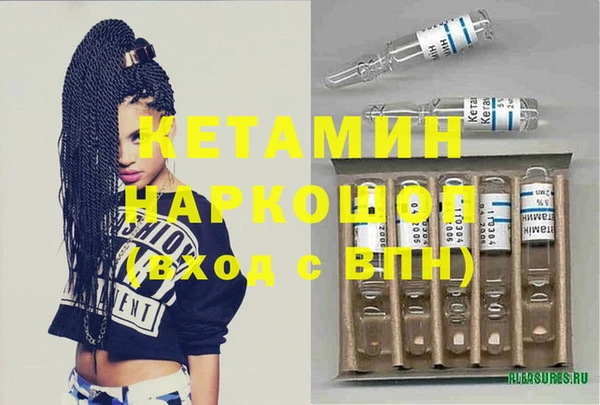 амф Тайга